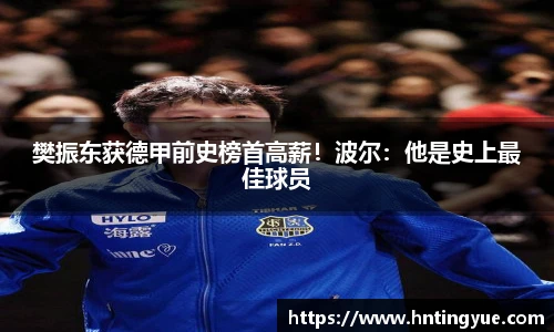 樊振东获德甲前史榜首高薪！波尔：他是史上最佳球员